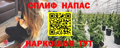 ALPHA PVP Кингисепп