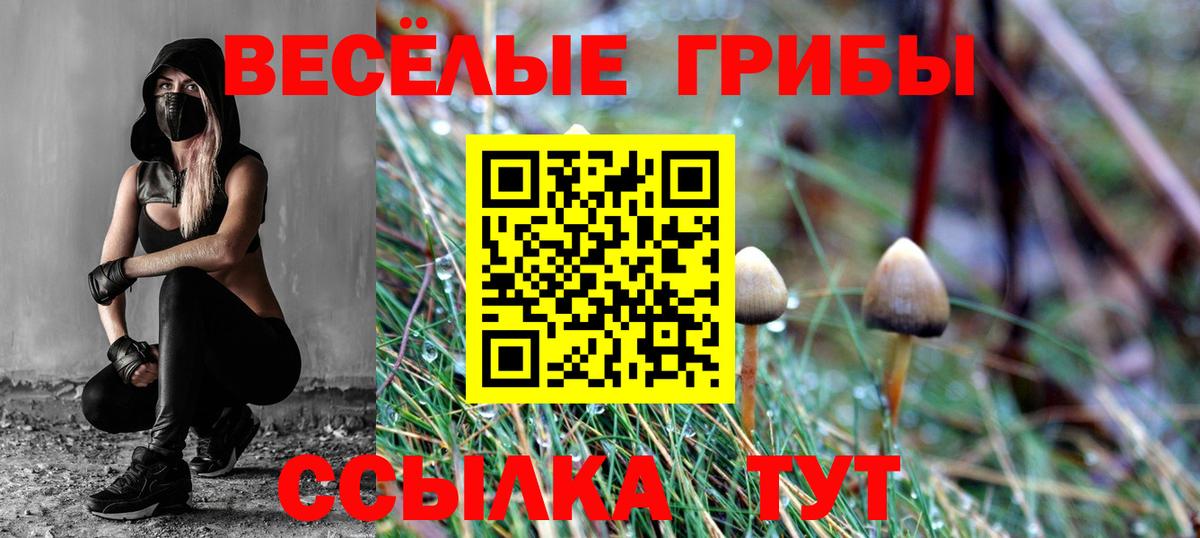 Кудымкар  Галлюциногенные грибы прущие грибы  Вход с VPN 