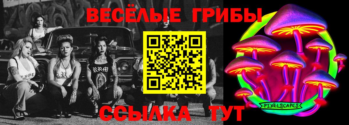 Галлюциногенные грибы мицелий Кудымкар